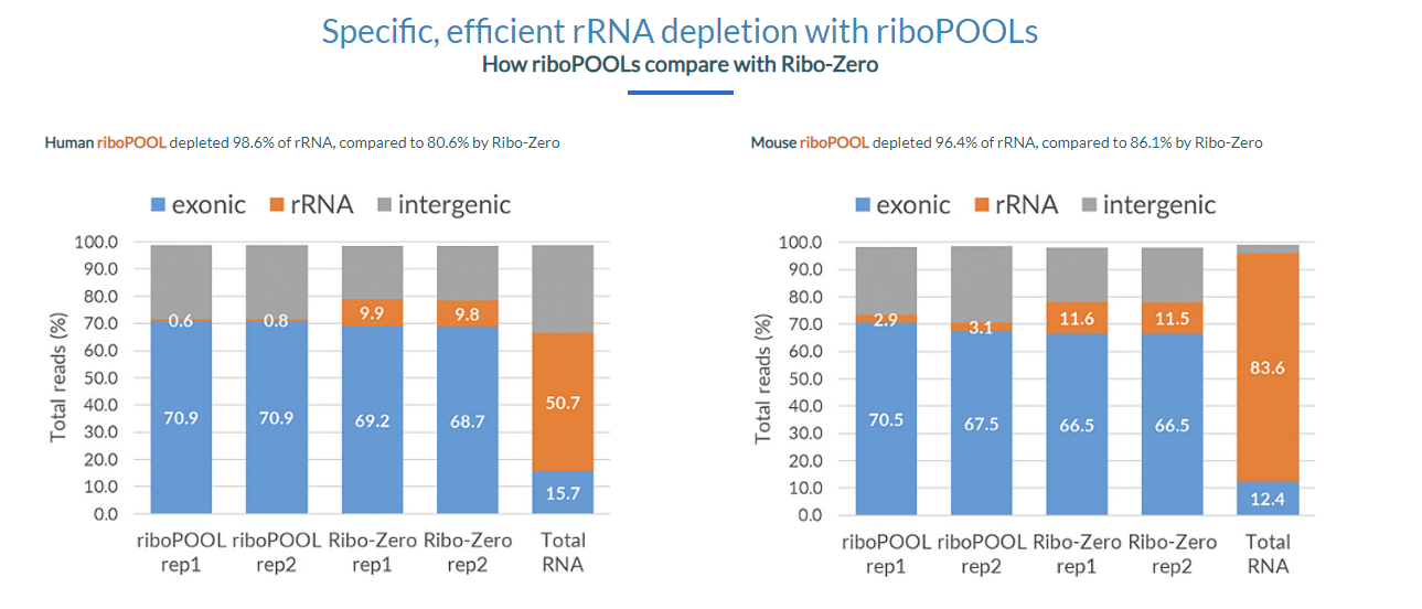 rRNA-Depletion