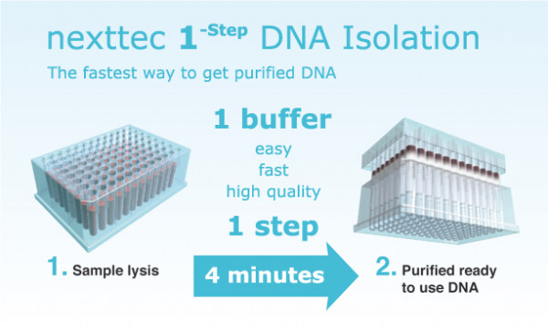 Artikelbild 1 des Artikels nexttec Plasmid 1-Step DNA Isolation Kit (E. coli)