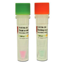 Artikelbild 1 des Artikels Donkey-anti-rabbit IgG IR700