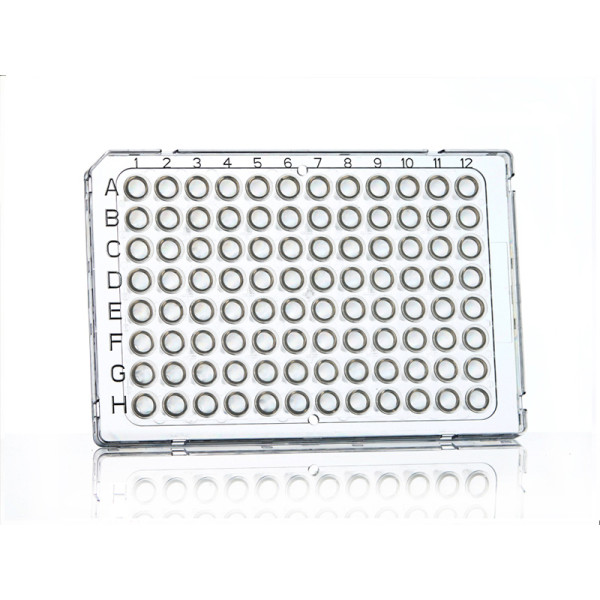 Artikelbild 1 des Artikels FrameStar 96 PCR Plate, clear Wells, clear Frame
