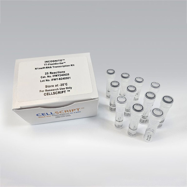 Artikelbild 1 des Artikels INCOGNITO™ T7-FlashScribe™ N1me psi-RNA