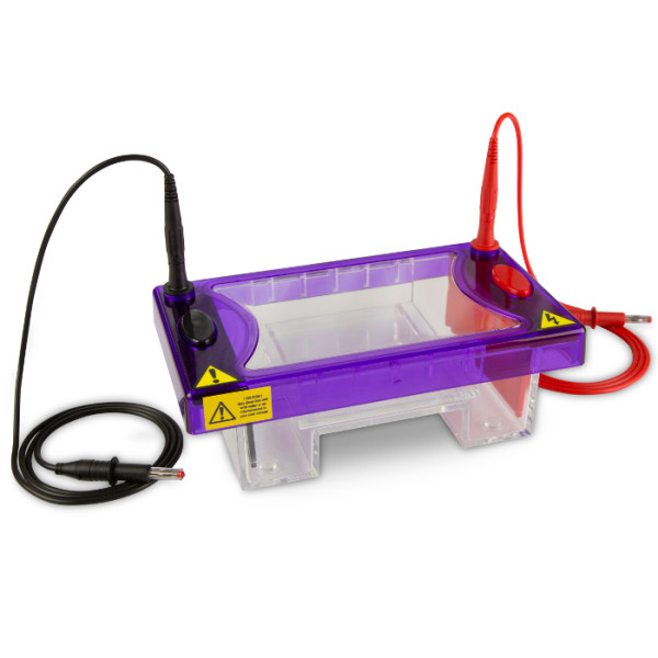 Artikelbild 1 des Artikels EasyPhor Midi Gelelektrophorese Kammer, 10x10 cm