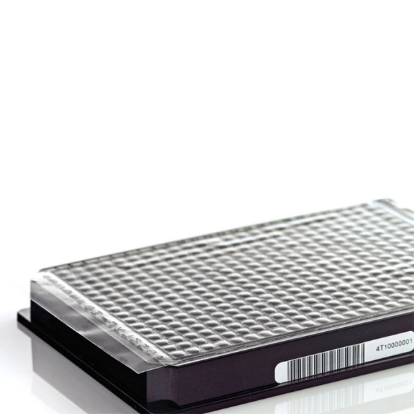 Artikelbild 1 des Artikels Gas permeabler Adhesive Seal 384 für Zellkulturen