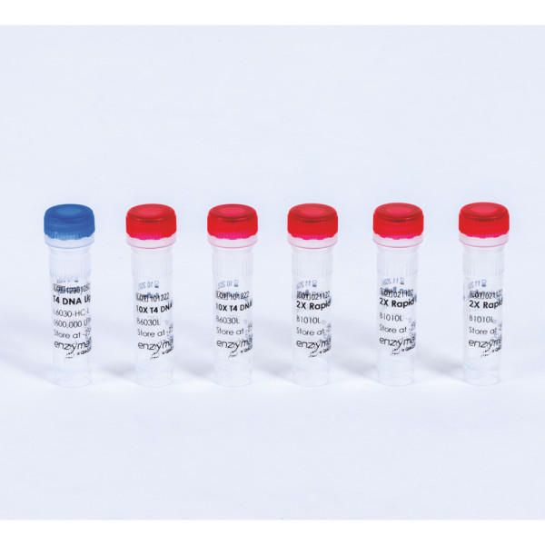 Artikelbild 1 des Artikels T4 DNA Ligase (Rapid), 600000 U/ml
