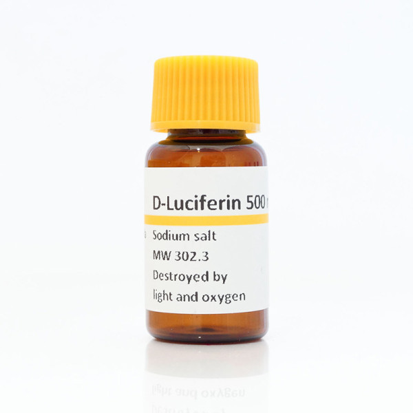 Artikelbild 1 des Artikels D-Luciferin Natrium Salz