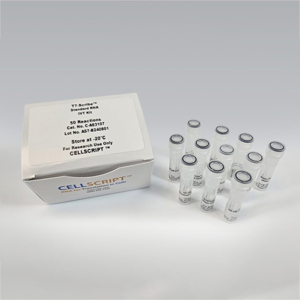 Artikelbild 1 des Artikels T7 Scribe Standard RNA IVT Kit