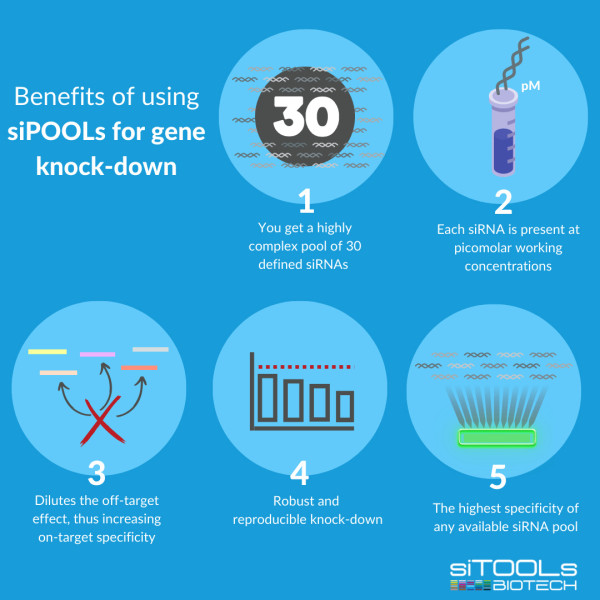 Artikelbild 1 des Artikels siPOOL 2