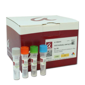 Artikelbild 1 des Artikels SpectraDye Antibody Labeling Kit-800