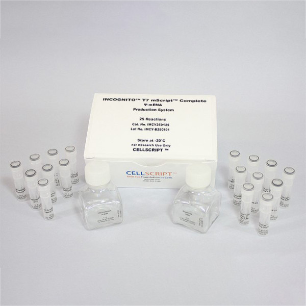 Artikelbild 1 des Artikels INCOGNITO™ T7 mScript™ Complete psi