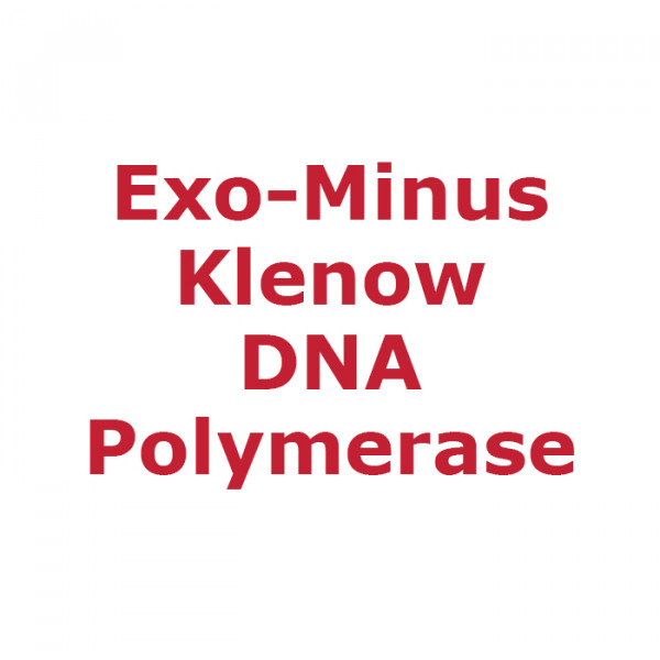 Artikelbild 1 des Artikels Exo-Minus Klenow DNA Polymerase 10 U/µl