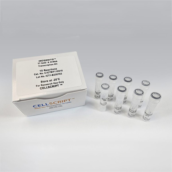 Artikelbild 1 des Artikels INCOGNITO™ T7 5mC- & psi-RNA Transcription Kit