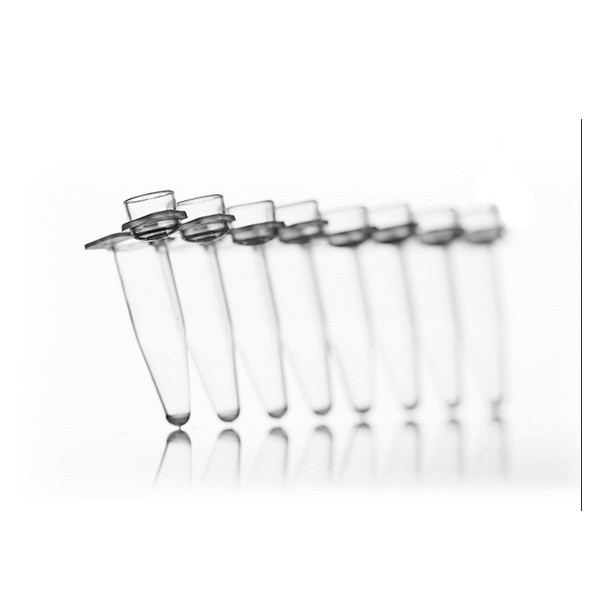 Artikelbild 1 des Artikels 8 Well PCR Tube Strips, 0.2 ml, clear