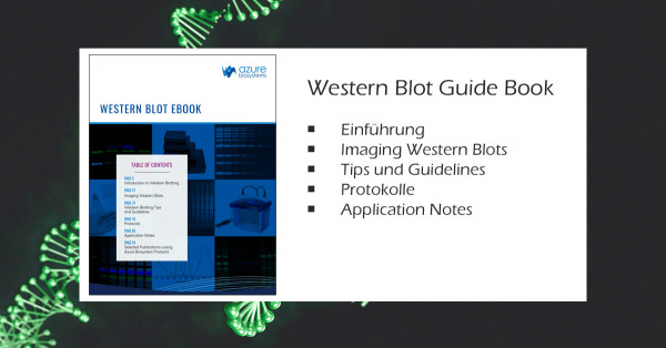 Western-Blotting-Guide-Book