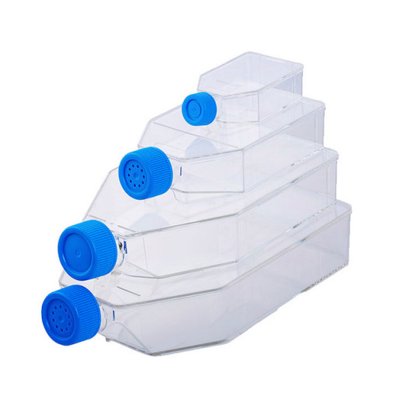 Artikelbild 1 des Artikels T175 Zellkulturflasche, Dichtungskappe, TC