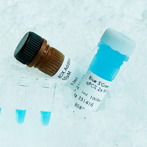 Artikelbild 1 des Artikels Biozym Blue S'Green qPCR Kit Separate ROX