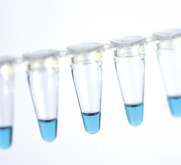 Artikelbild 1 des Artikels Biozym Blue S'Green qPCR Kit Separate ROX
