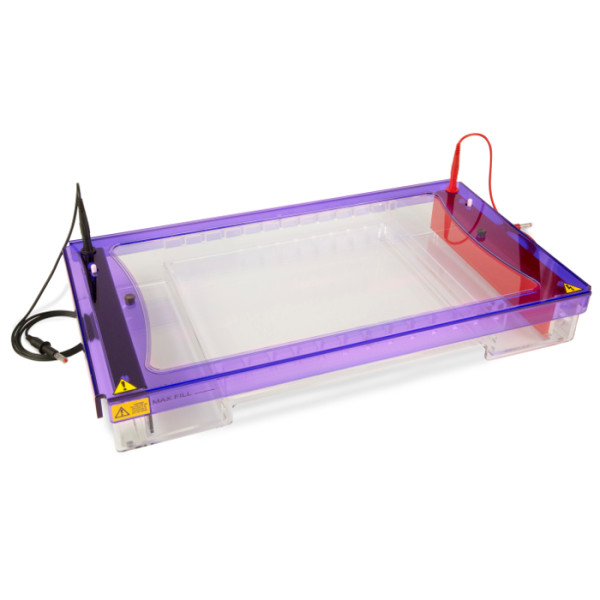 Artikelbild 1 des Artikels EasyPhor Screen 24 Gelelektrophorese Kammer