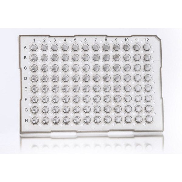 Artikelbild 1 des Artikels 96 Well PCR Plate, clear