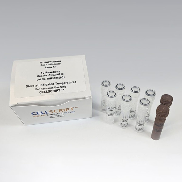 Artikelbild 1 des Artikels EZ-QC™ mRNA Cap 1 Efficiency Assay Kit