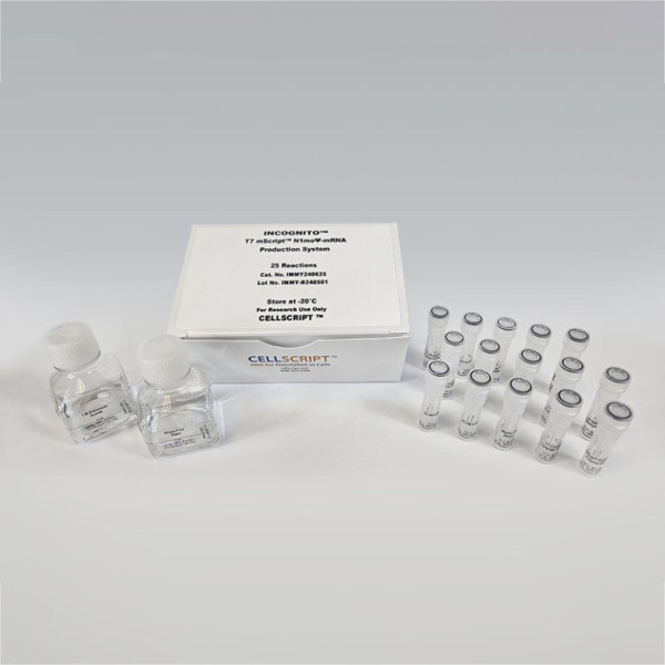 Artikelbild 1 des Artikels INCOGNITO™ T7 mScript™ N1me-psi
