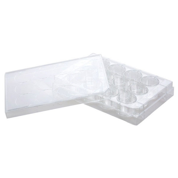 Artikelbild 1 des Artikels 12 Well Zellkulturplatte, TC