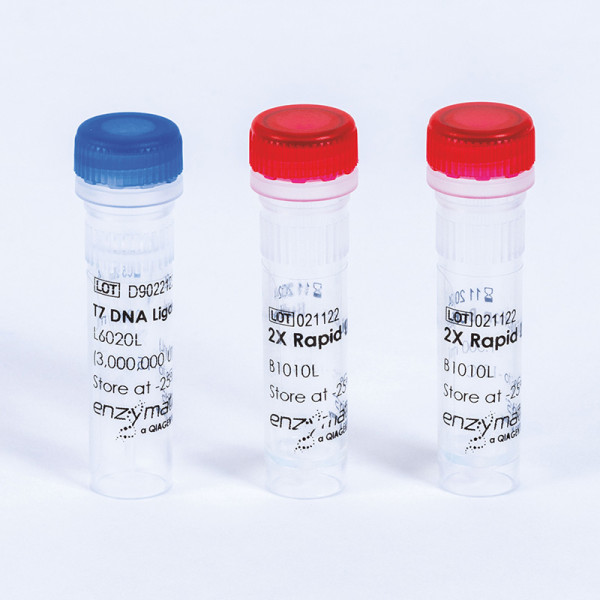 Artikelbild 1 des Artikels T7 DNA Ligase, 3000000 U/ml