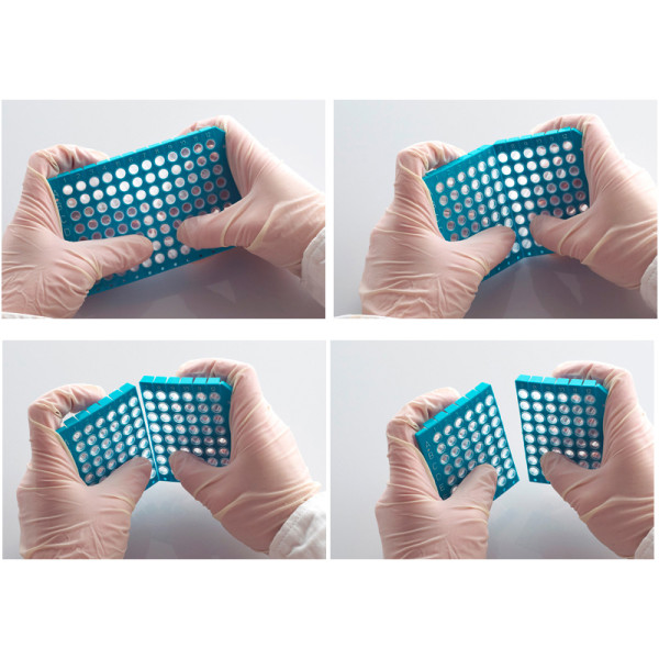 Artikelbild 1 des Artikels FrameStar 96 PCR Plate, clear Wells, blue Frame