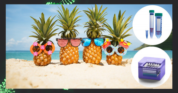 KW26_Summer-KeepCool