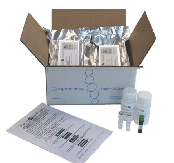 Artikelbild 1 des Artikels 3% Agarose Cassettes, int. Standards, Marker 30G