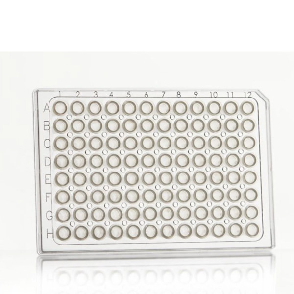 Artikelbild 1 des Artikels FrameStar 96 PCR Plate, clear Wells, clear Frame