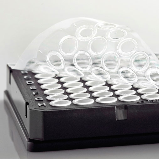 Artikelbild 1 des Artikels Clear Heat Seal