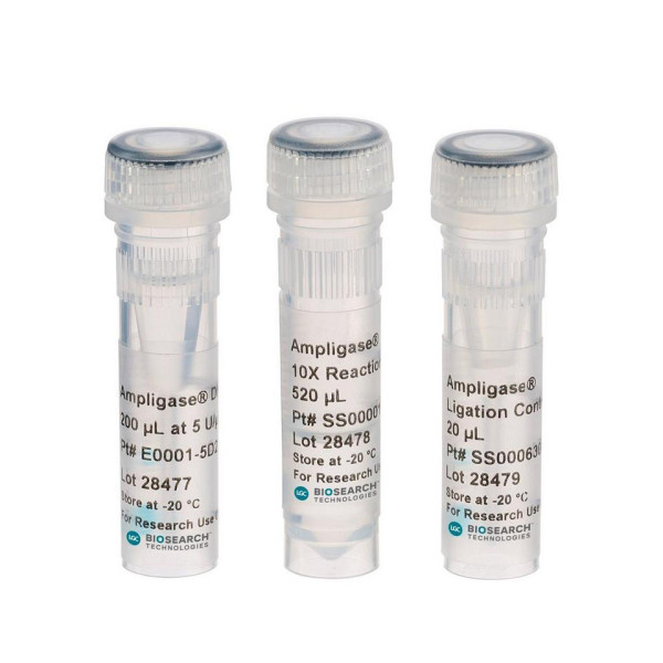 Artikelbild 1 des Artikels Ampligase DNA Ligase + Puffer, 100 U/µl