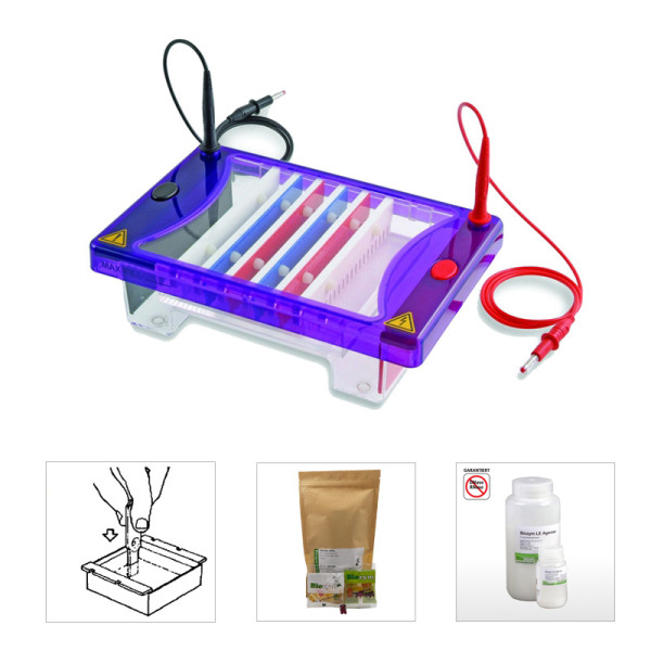 Artikelbild 1 des Artikels EasyPhor Medi Gelelektrophorese Kammer 3 GT
