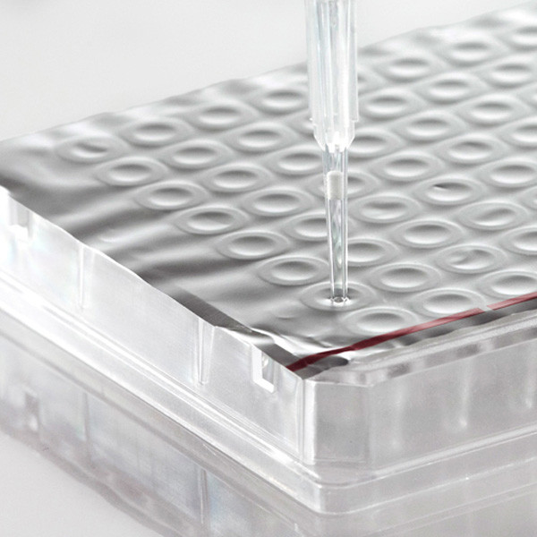 Artikelbild 1 des Artikels Foil Heat Seal, aluminium heat sealing foil