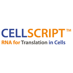 CellScript