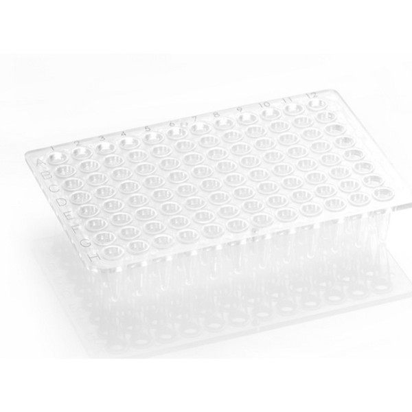 Artikelbild 1 des Artikels FrameStar 96 PCR Plate, clear Wells, clear Frame