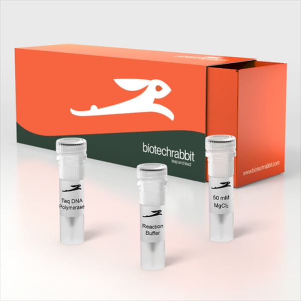 Artikelbild 1 des Artikels Taq DNA Polymerase recombinant, 5 U/µl