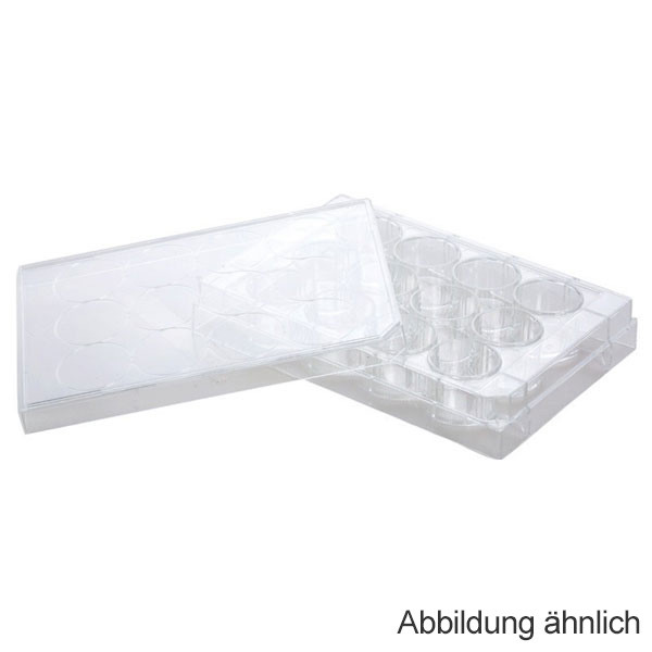Artikelbild 1 des Artikels 48 Well Zellkulturplatte, TC