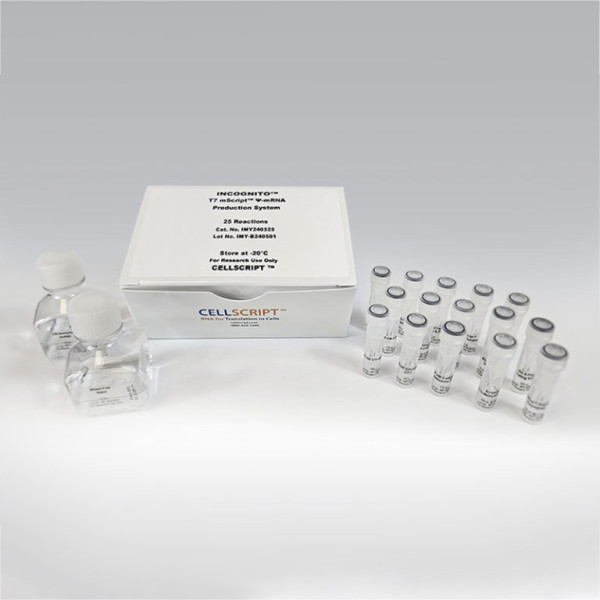 Artikelbild 1 des Artikels INCOGNITO™ T7 mScript™ -psi