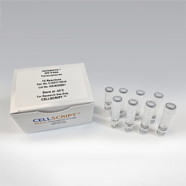 Artikelbild 1 des Artikels INCOGNITO™ SP6 psi-RNA Transcription Kit