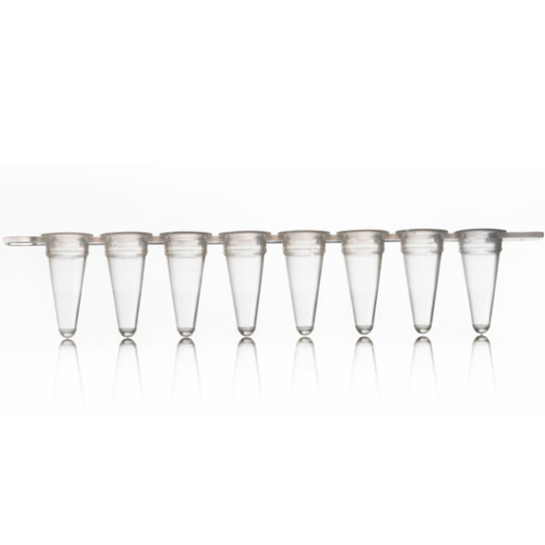 Artikelbild 1 des Artikels 8 Well PCR Tube Strips, clear Wells