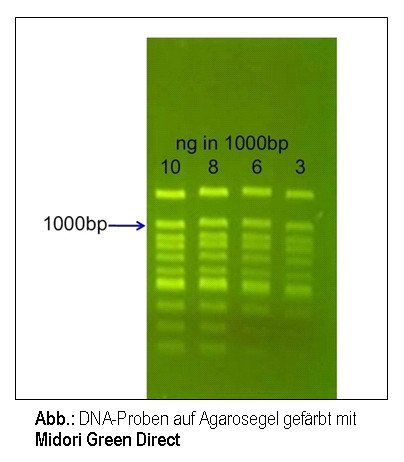 Artikelbild 1 des Artikels Midori Green Direct
