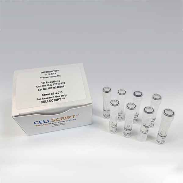 Artikelbild 1 des Artikels INCOGNITO™ T7 psi-RNA Transcription Kit