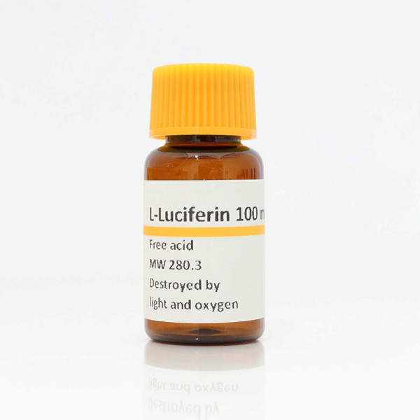 Artikelbild 1 des Artikels L-Luciferin