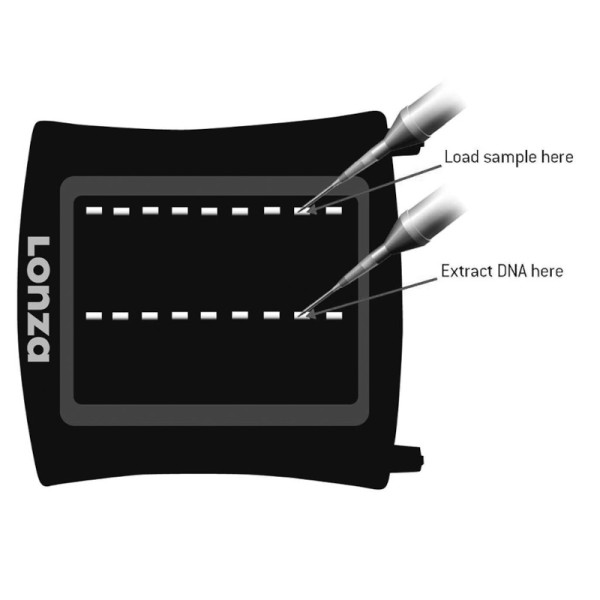 Artikelbild 1 des Artikels FlashGel Recovery Puffer