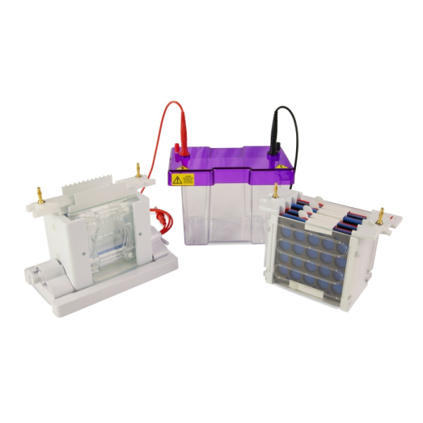 Artikelbild 1 des Artikels EasyPhor PAGE Mini Elektrophorese & Blotting