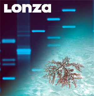 Artikelbild 1 des Artikels NuSieve GTG Agarose