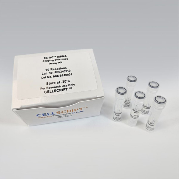 Artikelbild 1 des Artikels EZ-QC mRNA Capping Efficiency Assay Kit