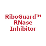 Artikelbild 1 des Artikels RiboGuard RNase Inhibitor, 40 U/µl