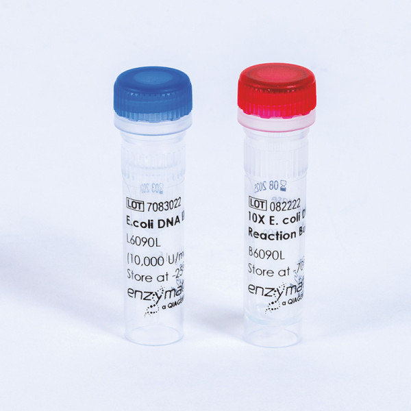 Artikelbild 1 des Artikels E. coli DNA Ligase, 10000 U/ml